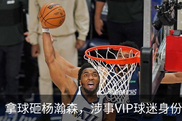 拿球砸杨瀚森，涉事VIP球迷身份曝光，名嘴苏群说出没人敢提细节