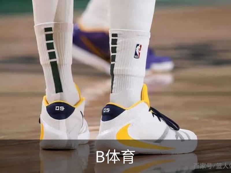 B体育简介